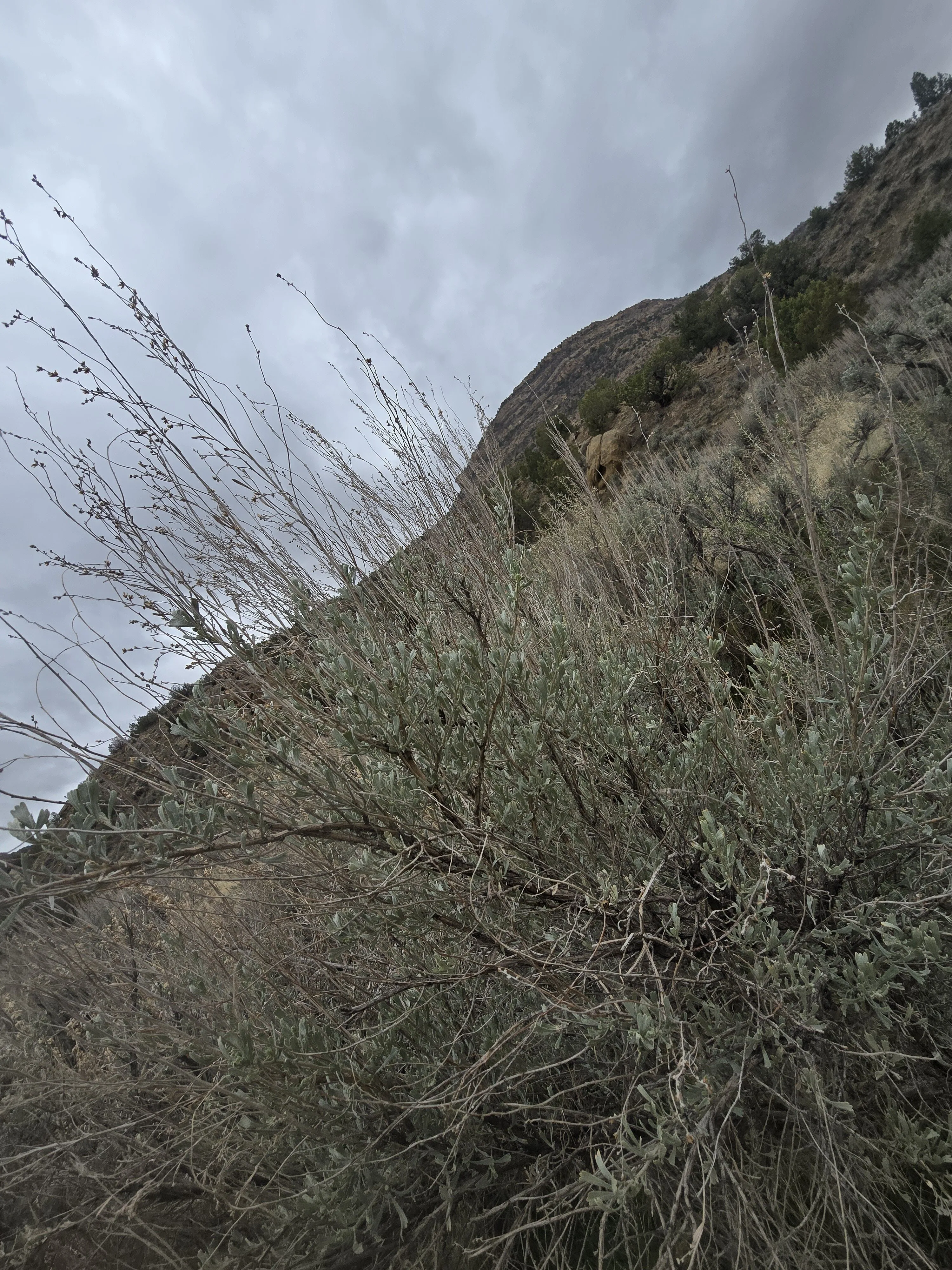 Valley passions OnlyFans free account photo 10 - valleypassions970 nudes and sex tapes