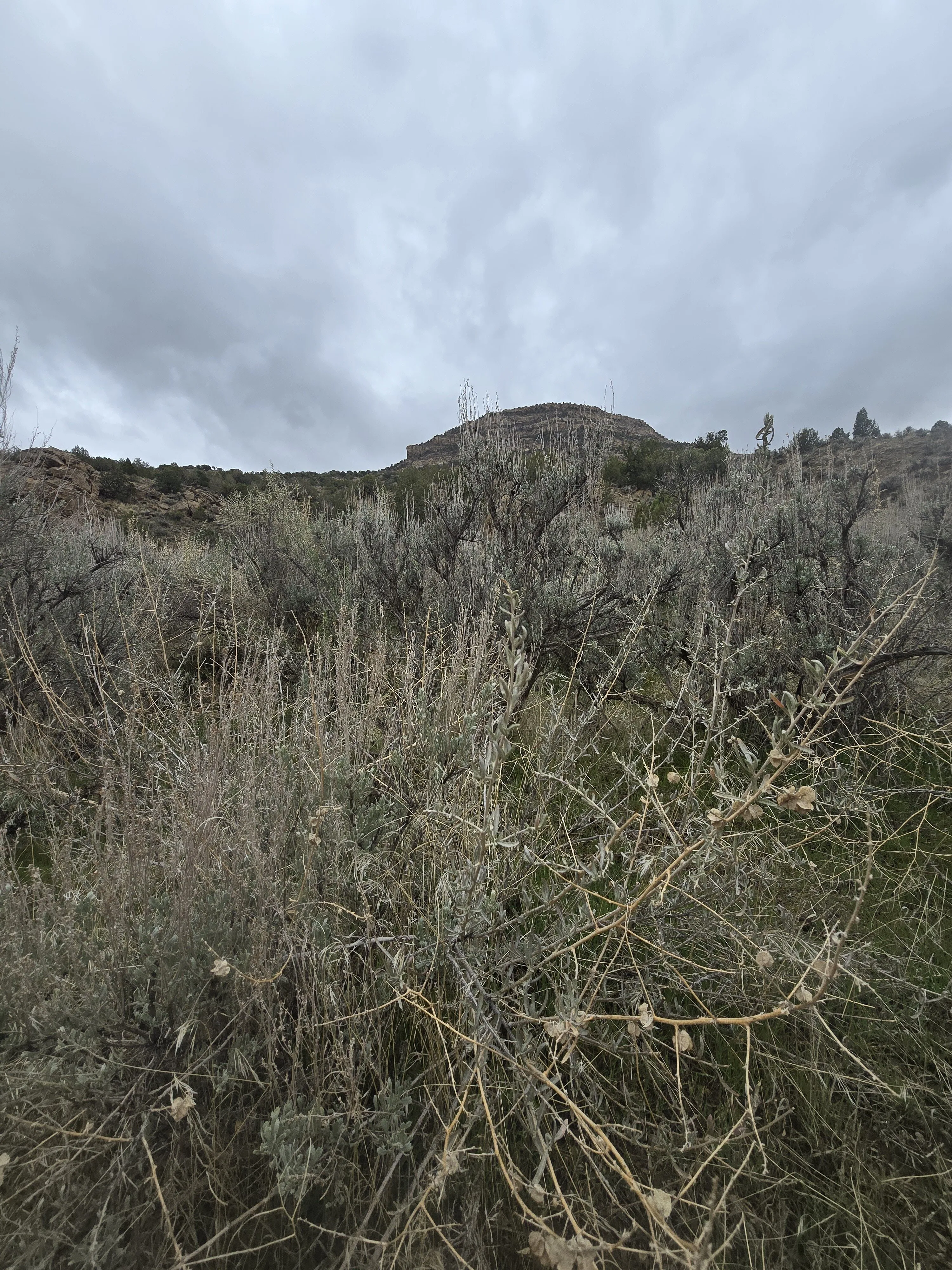 Valley passions OnlyFans free account photo 9 - valleypassions970 nudes and sex tapes