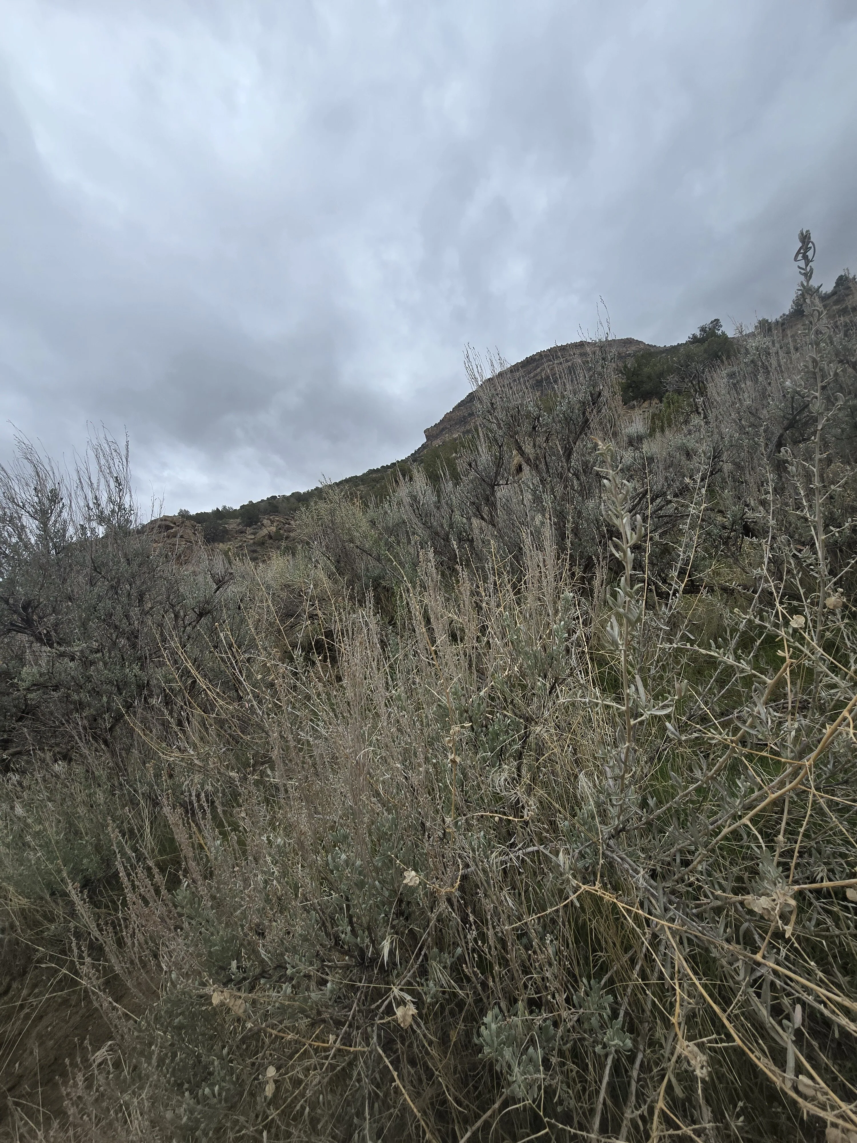 Valley passions OnlyFans free account photo 8 - valleypassions970 nudes and sex tapes