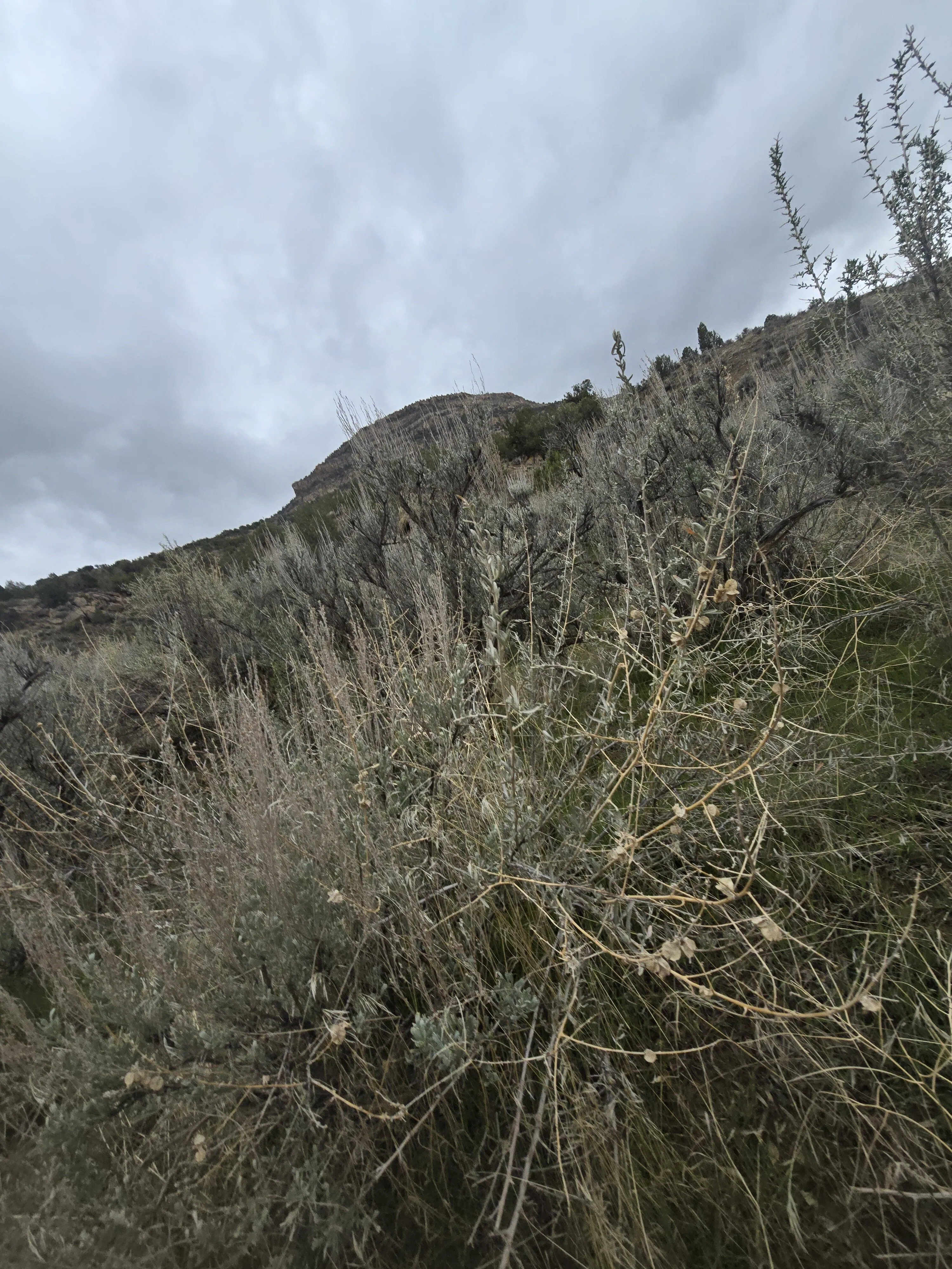 Valley passions OnlyFans free account photo 7 - valleypassions970 nudes and sex tapes