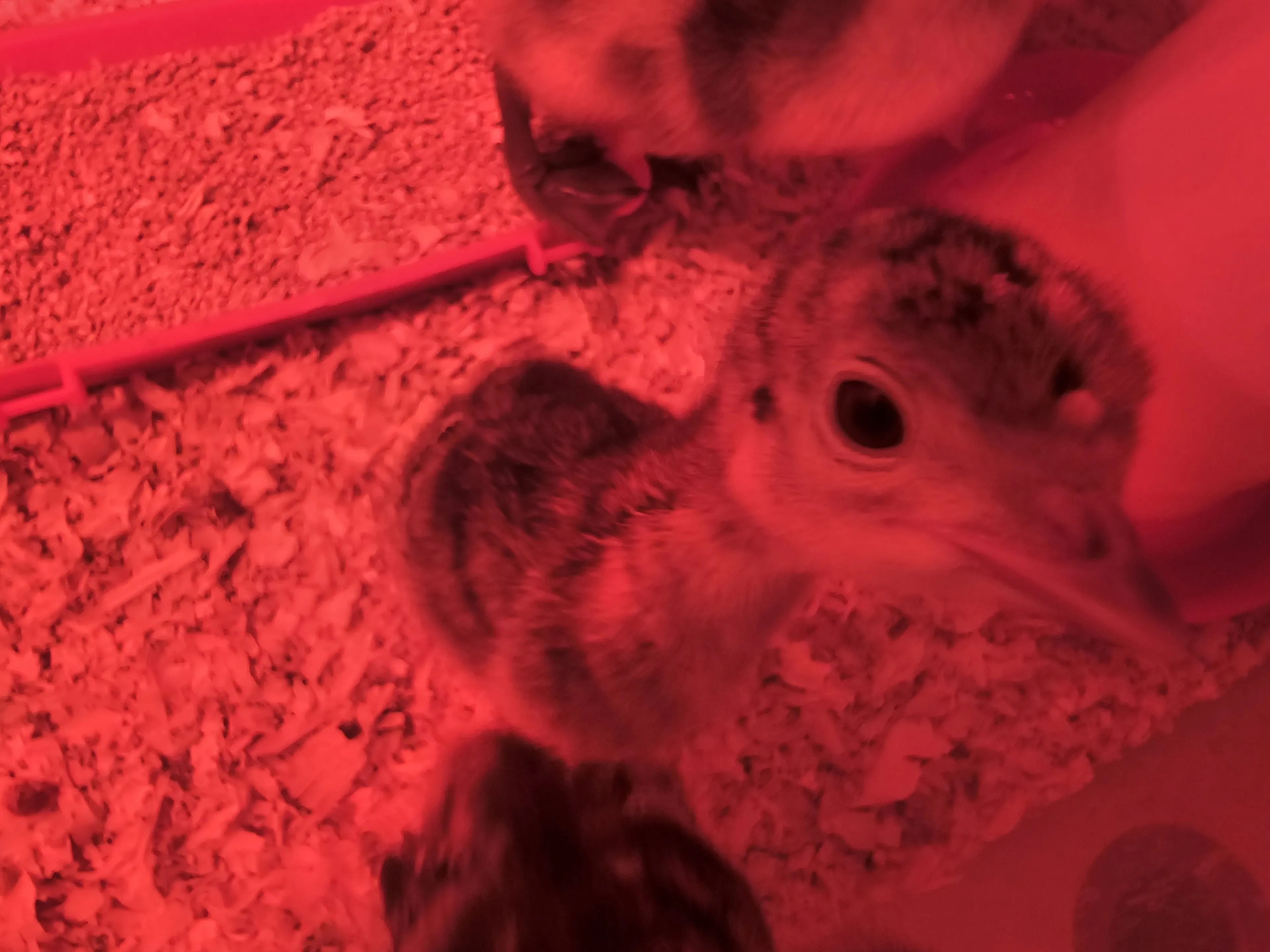 Valley passions OnlyFans free account photo 5 - valleypassions970 nudes and sex tapes