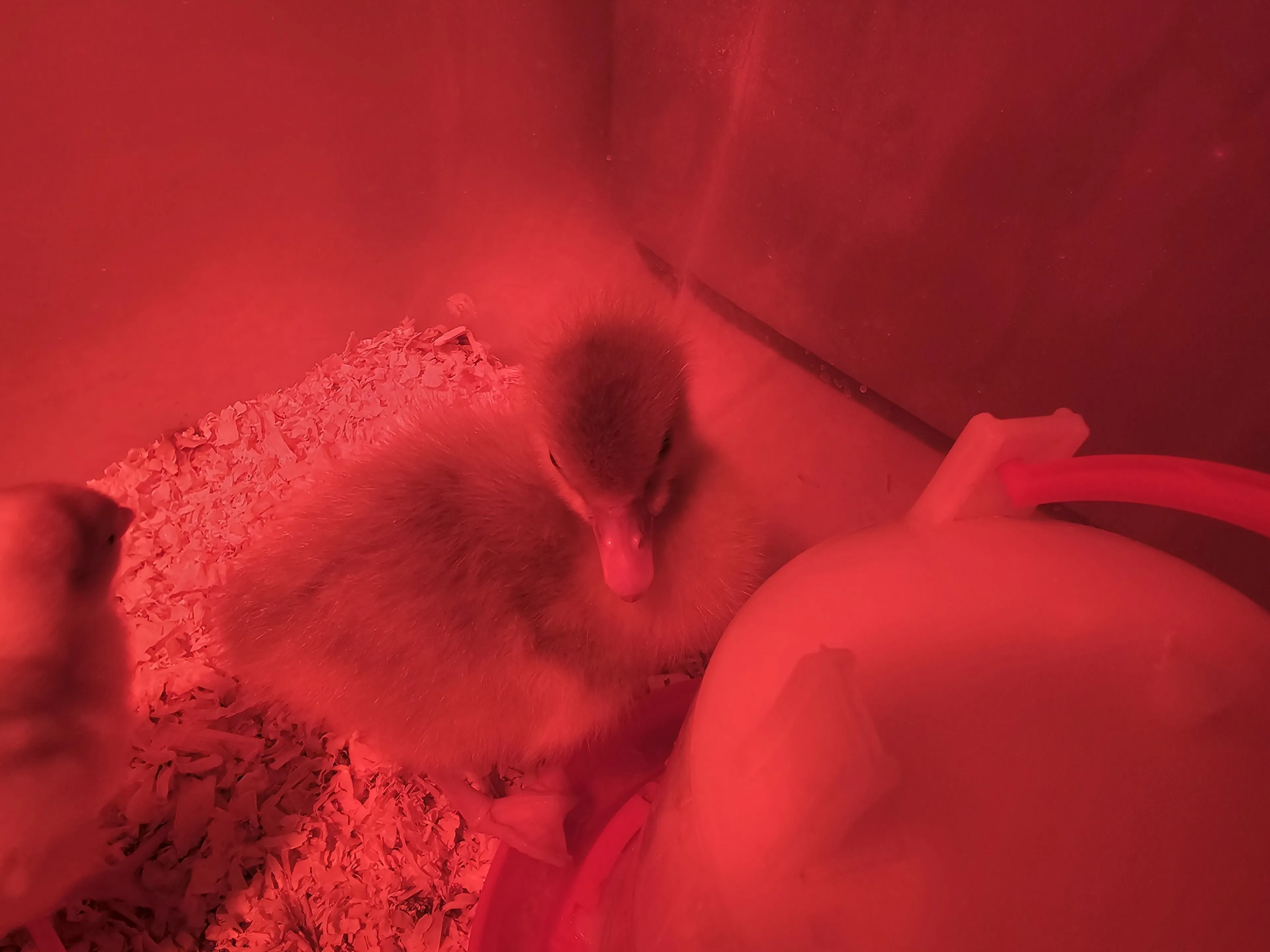 Valley passions OnlyFans free account photo 4 - valleypassions970 nudes and sex tapes