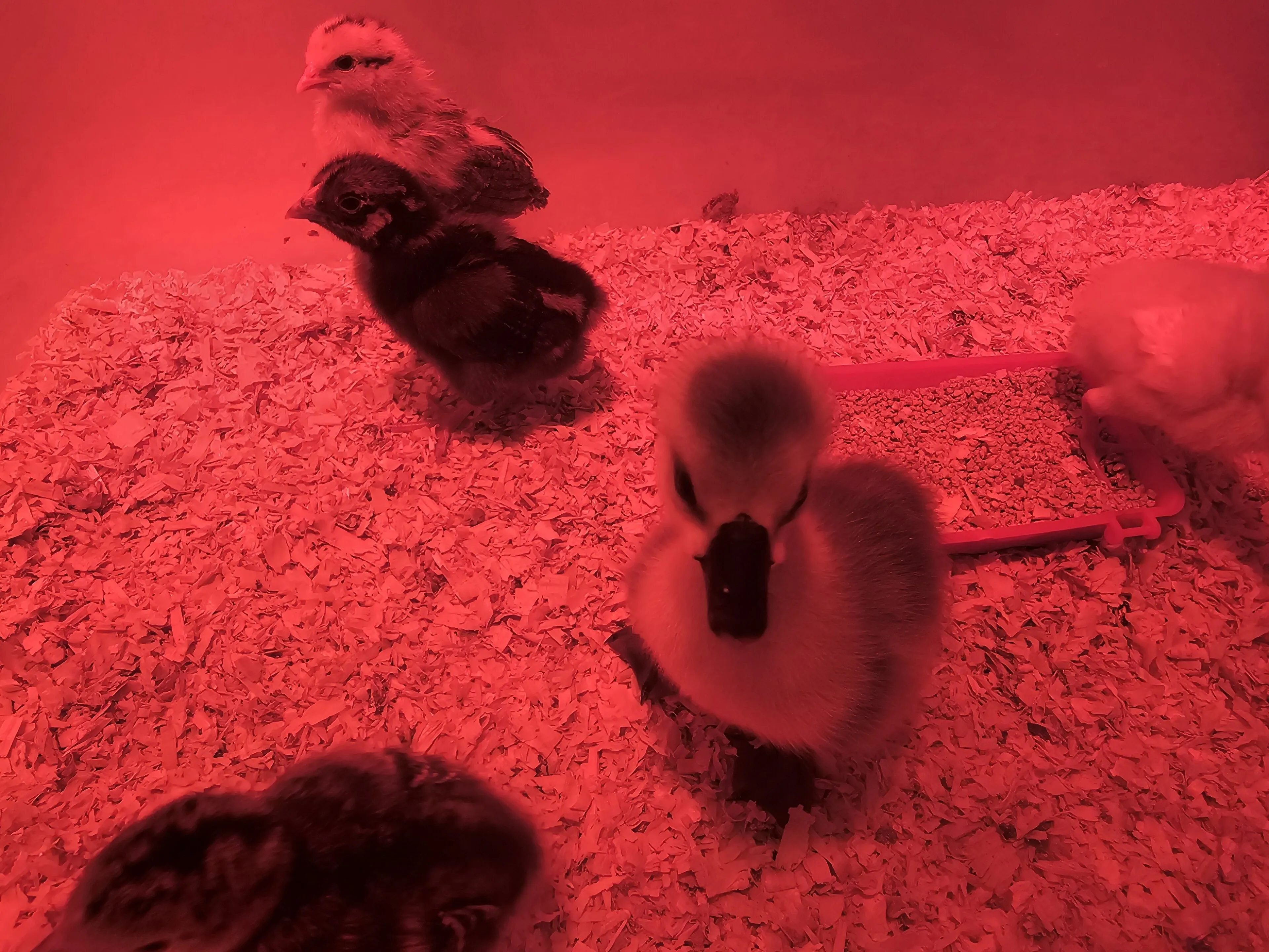 Valley passions OnlyFans free account photo 3 - valleypassions970 nudes and sex tapes