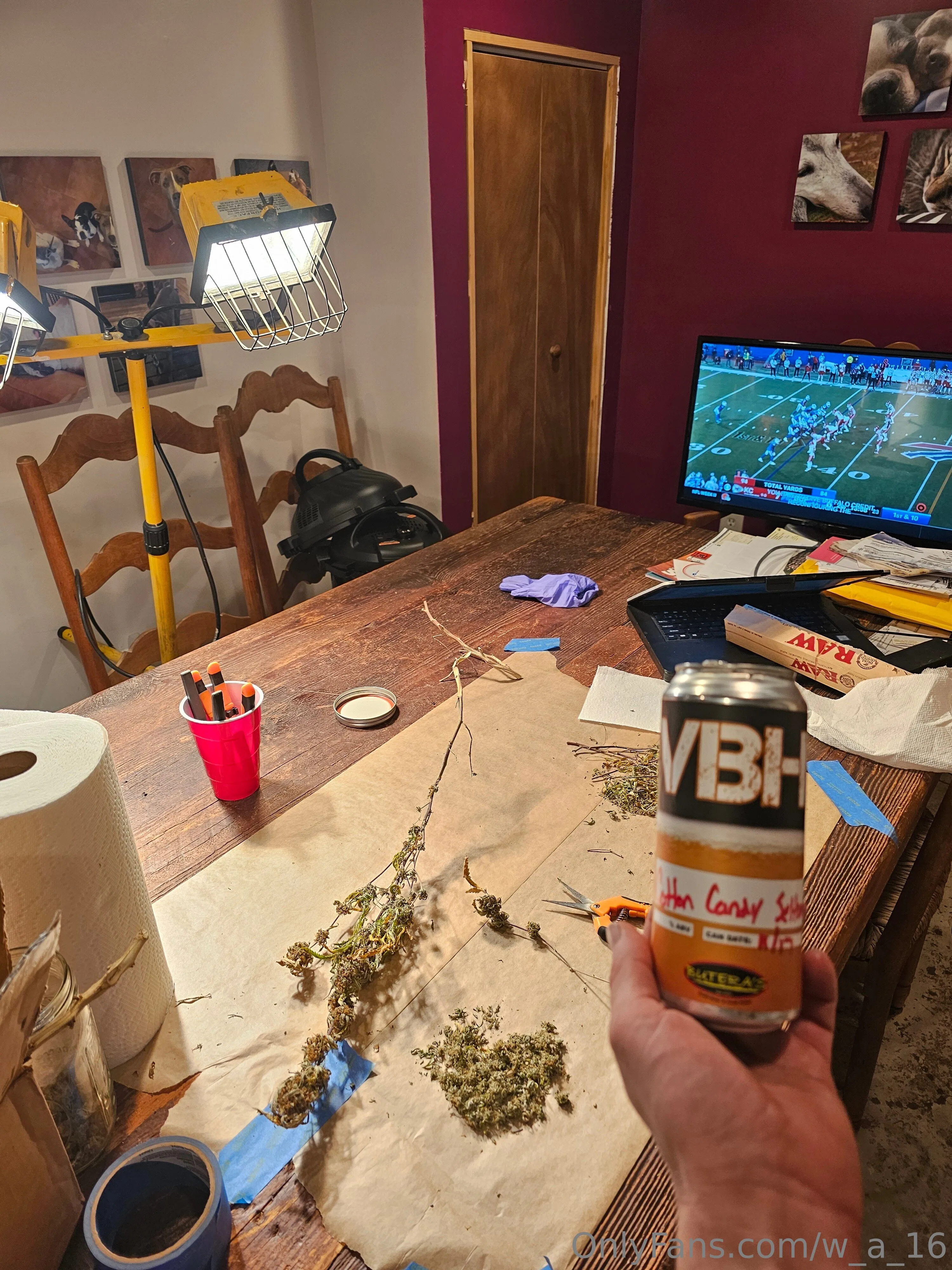 Wilks OnlyFans free account photo 34 - w_a_16 nudes and sex tapes