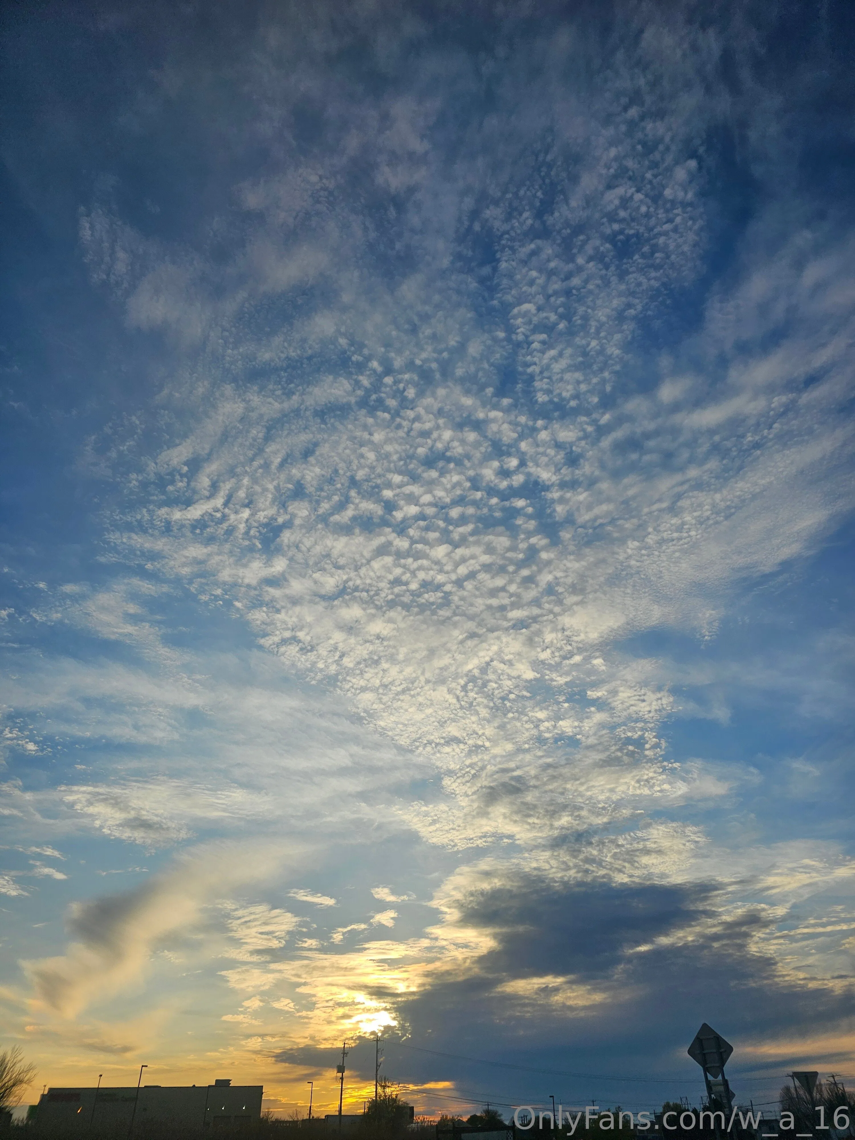 Wilks OnlyFans free account photo 2 - w_a_16 nudes and sex tapes